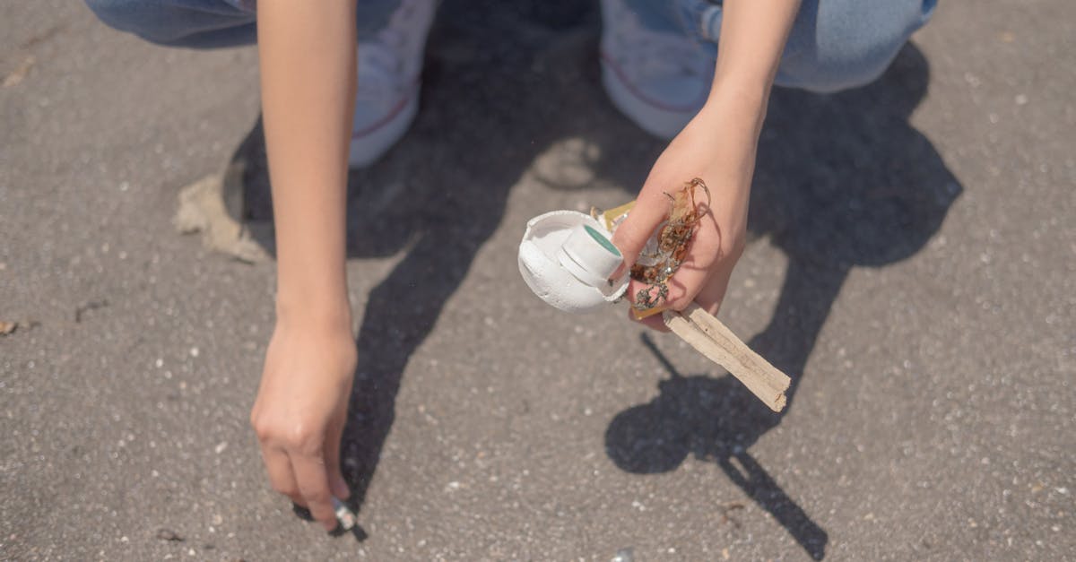 Collaborating with Vendors for Effective Event Waste Management in Brisbane