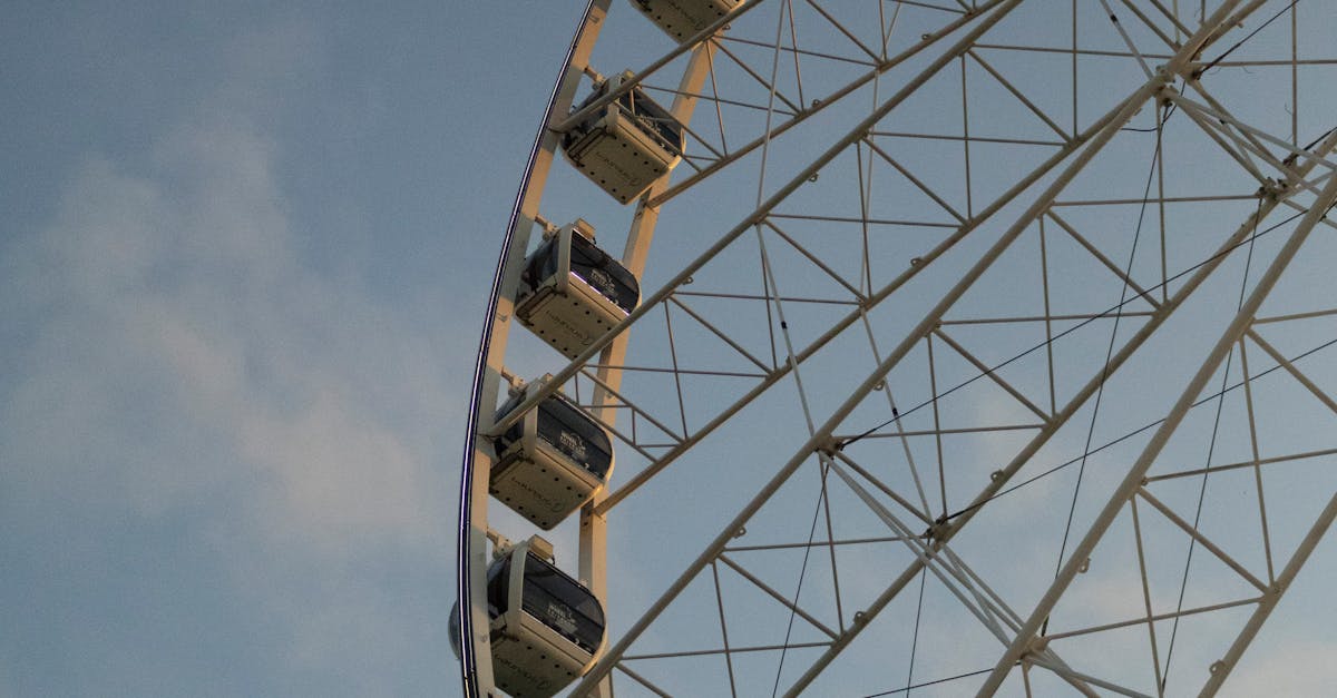 Cost-Effective Solutions for Managing Construction Waste in Brisbane