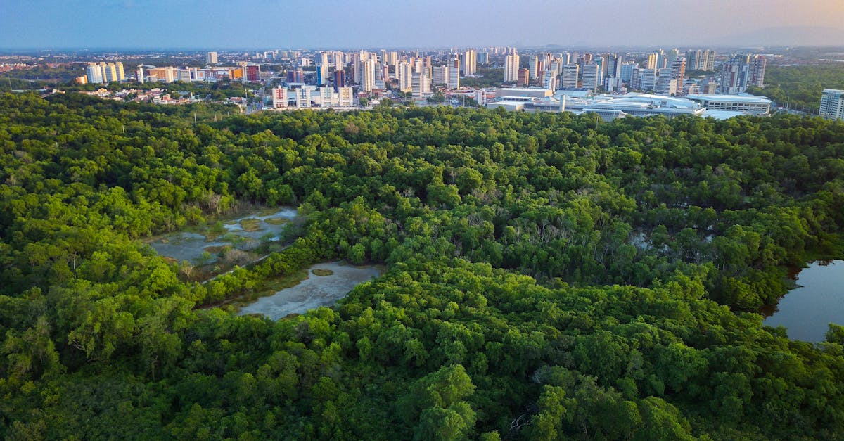 Efficient Strategies for Managing Waste at Brisbane Events