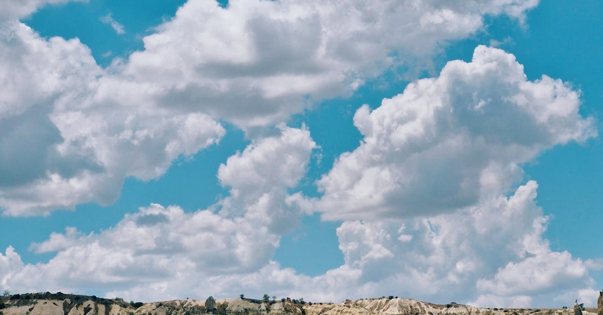 How to Effectively Sort Your Recyclables in Brisbane