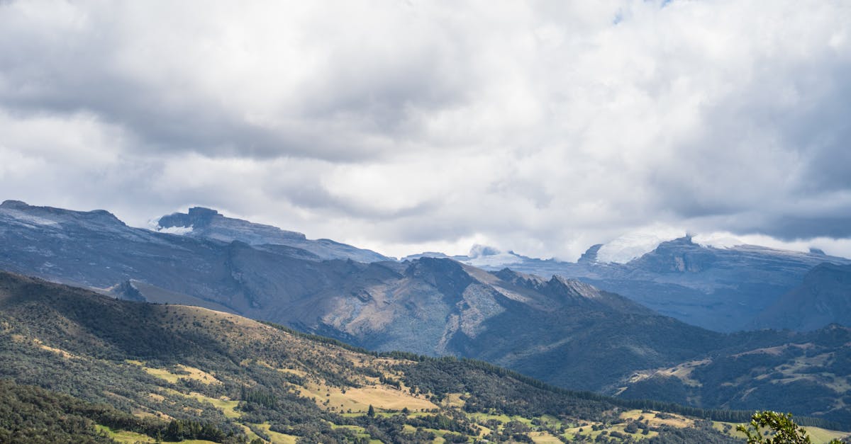 How to Implement Sustainable Practices for Brisbane Event Waste