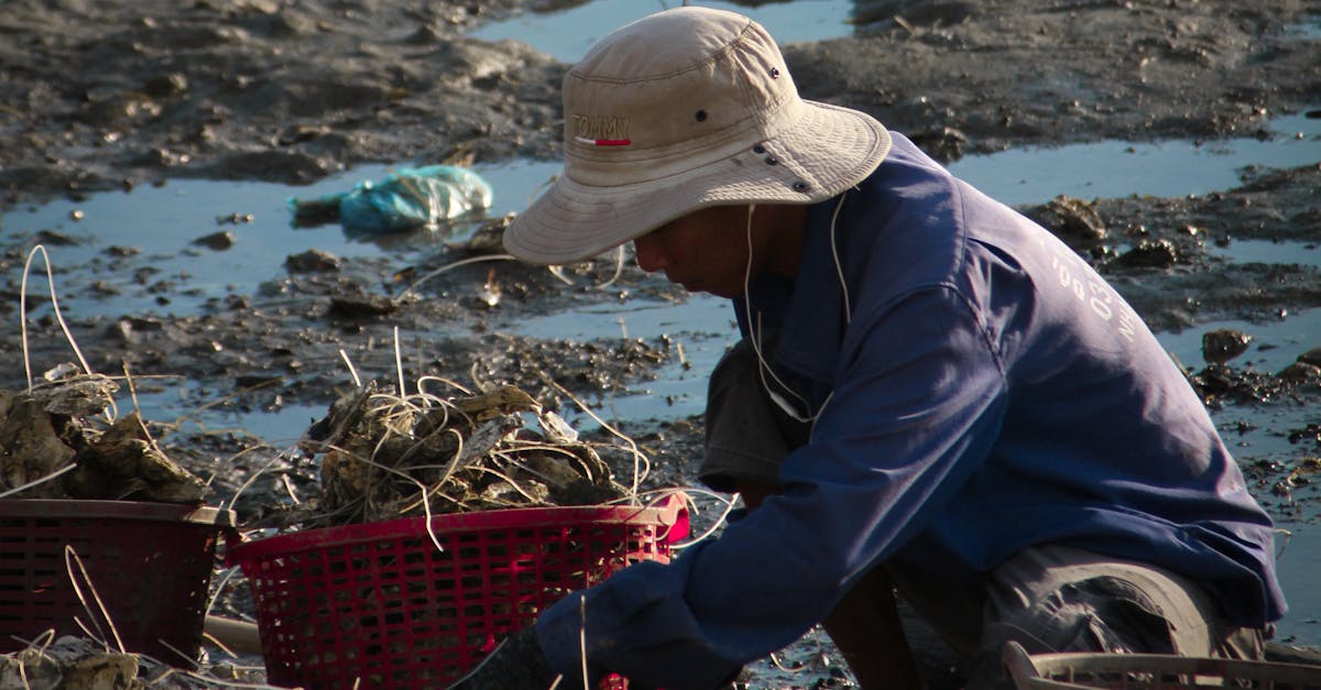 Local Brisbane Resources for Hazardous Waste Disposal