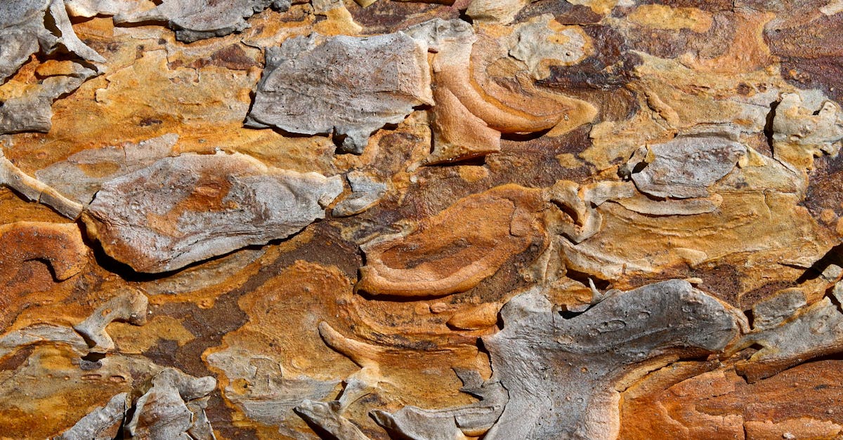 Navigating Local Regulations for Apartment Waste Disposal