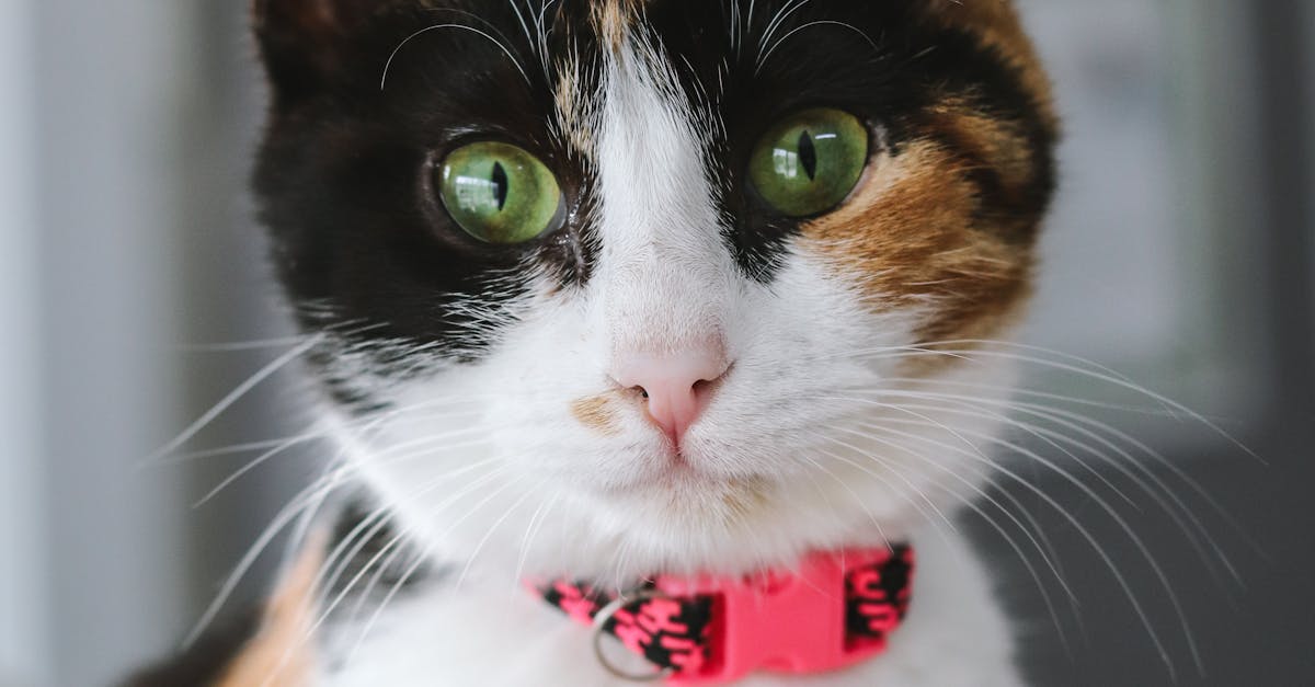 The Environmental Impact of Improper Electronic Waste Disposal